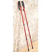 1 pár Nordic walking bot