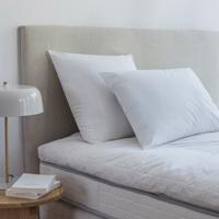 Conforlux Dodo párna, anti-mitesz Proneem, puha